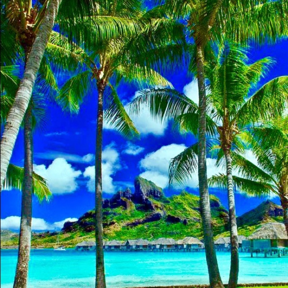 🌴🌞PoshAmbassador!🌞🌴 - Picture 3 of 7